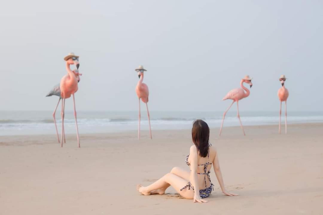 Ib306 Tu Doanh - Flamingo Hai Tien Thanh Hóa 外观 照片